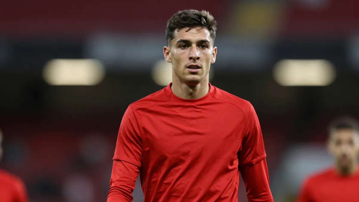 Southampton winger Jay Robinson heads to Monza on loan